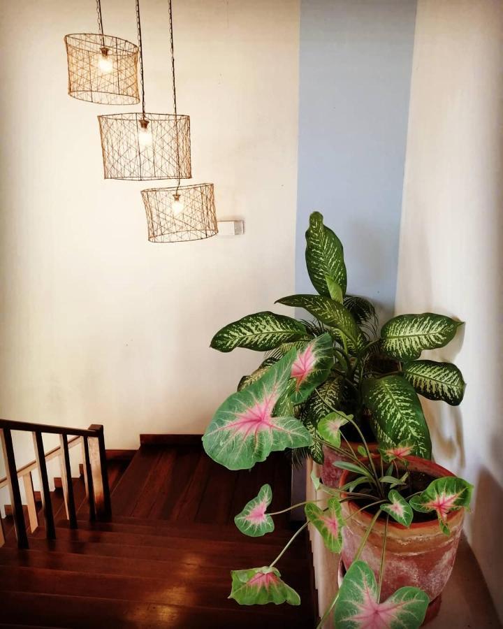Hotel Con Corazon Granada Dış mekan fotoğraf